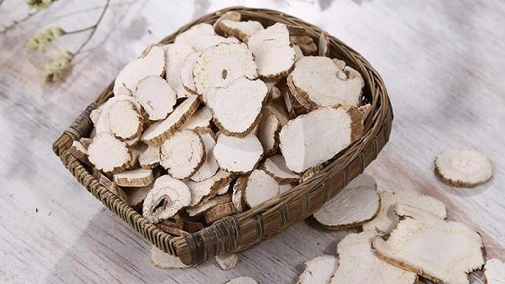 Vị thuốc bạch chỉ 1