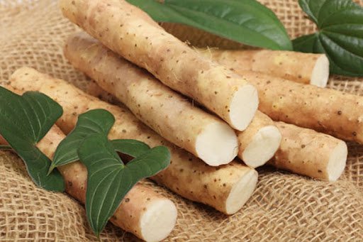 Củ mài (Hoài sơn)