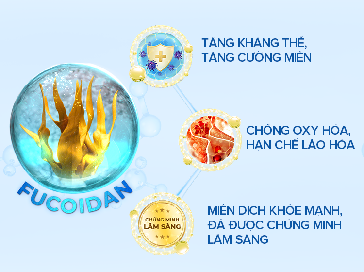 Fucoidan là gì và có công dụng thế nào với sức khỏe?