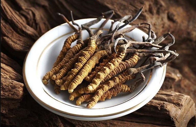 Đông trùng hạ thảo (Trung Quốc)