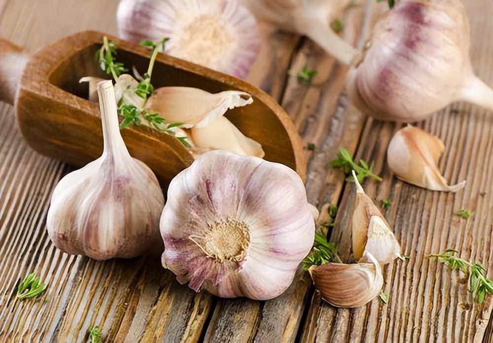 Tỏi- từ vị thuốc cổ truyền tới ứng dụng trong khoa học hiện đại
